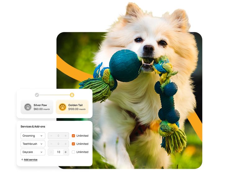 Daycare Scheduling