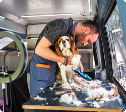 Mobile grooming case study