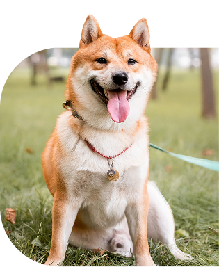 Hero image